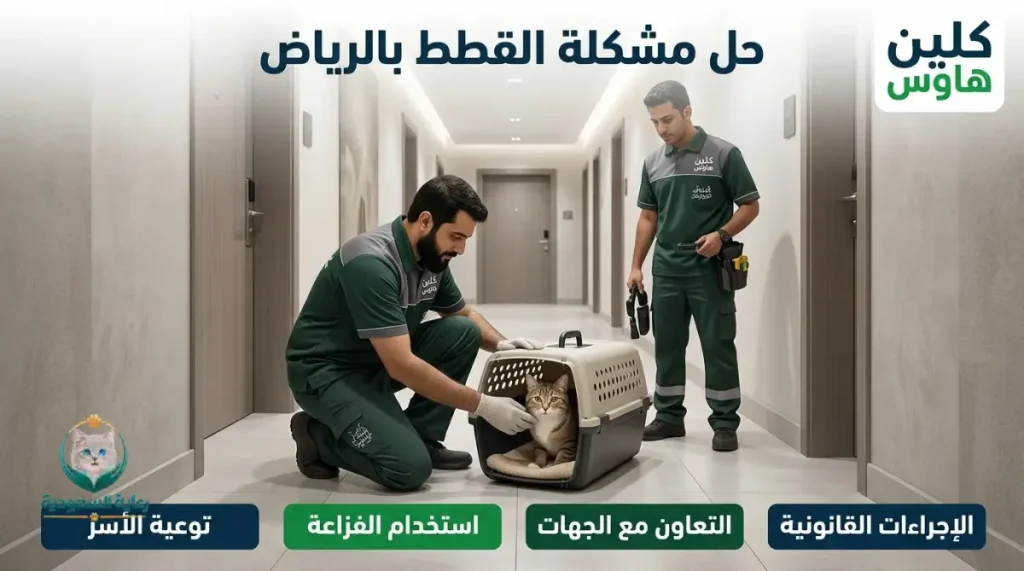 حل مشكلة القطط بالرياض