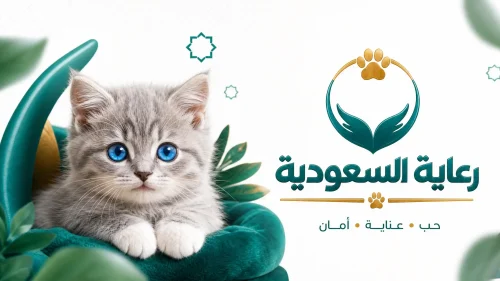 كيف أتخلص من قطتي المزعجة في الرياض