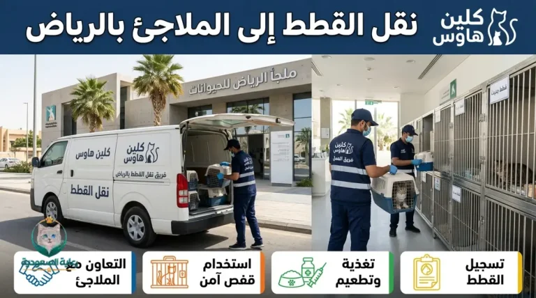 نقل القطط إلى الملاجئ بالرياض