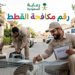 رقم مكافحة القطط بالرياض