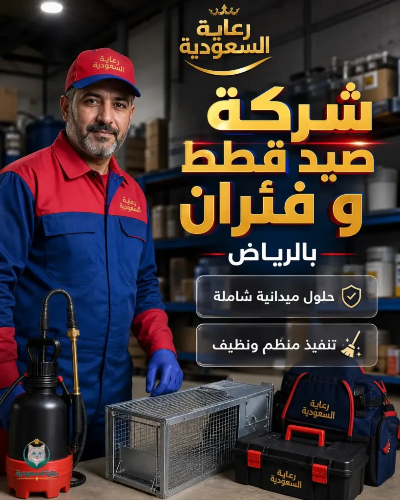 شركة مكافحة صيد قطط وفئران بالرياض