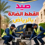صيد القطط الضالة بالرياض