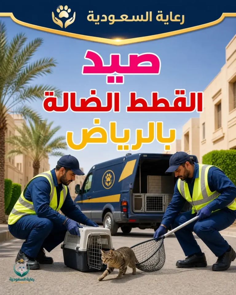 صيد القطط الضالة بالرياض