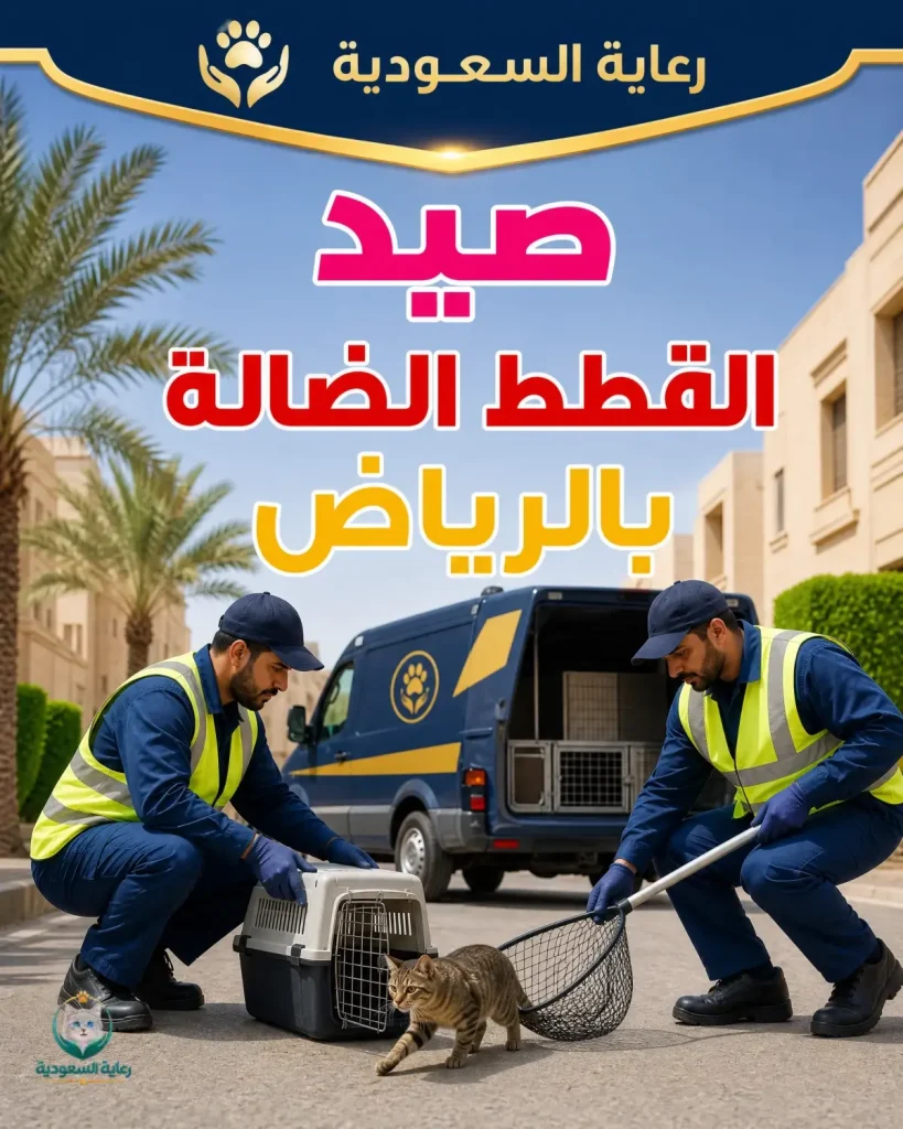 صيد القطط الضالة بالرياض