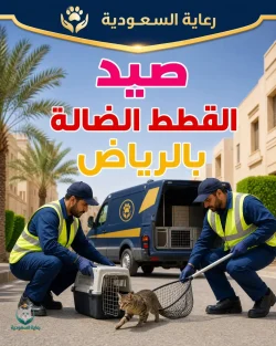 صيد القطط الضالة بالرياض