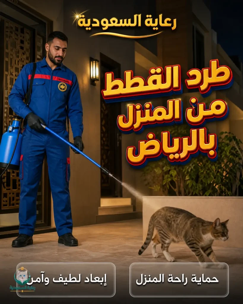 طرد القطط من المنزل بالرياض
