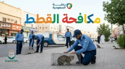مكافحة القطط