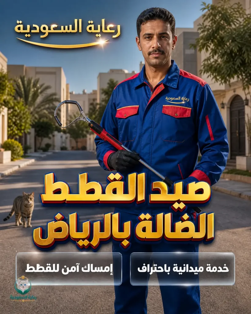 صيد القطط الضالة بالرياض