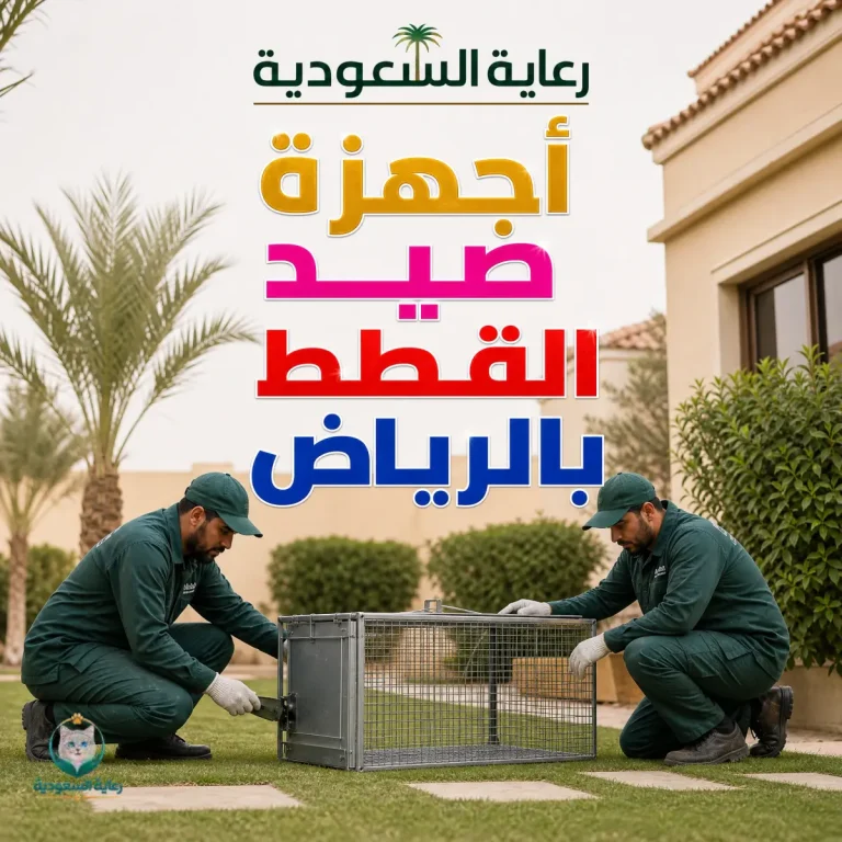 أجهزة صيد القطط بالرياض