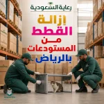 إزالة القطط من المستودعات بالرياض