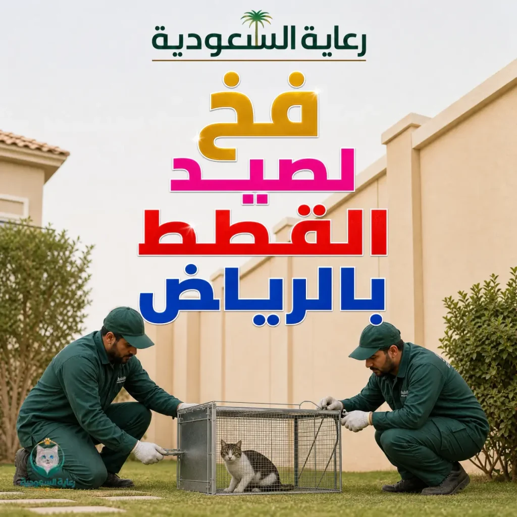 فخ لصيد القطط بالرياض