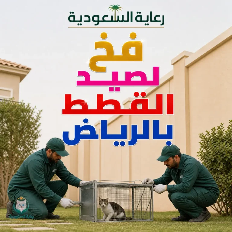 فخ لصيد القطط بالرياض
