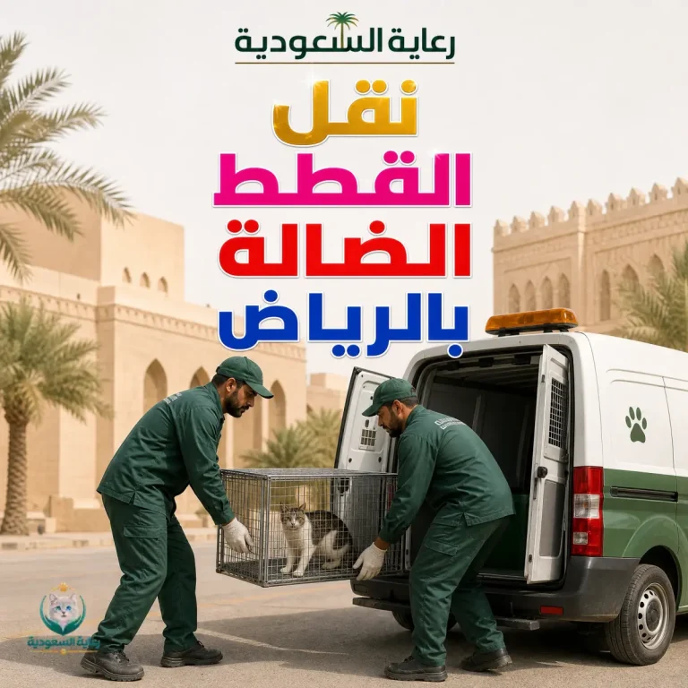 نقل القطط الضالة بالرياض