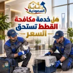 هل خدمة مكافحة القطط تستحق السعر هل خدمة مكافحة القطط تستحق السعر