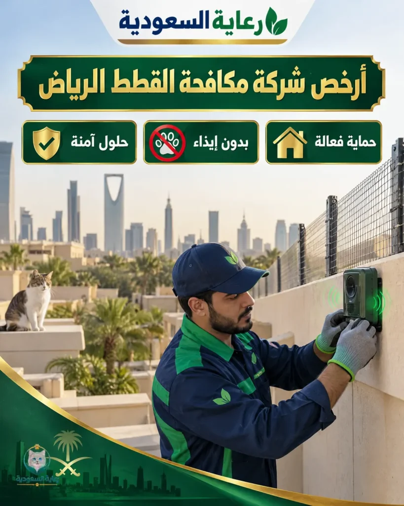 أرخص شركة مكافحة القطط الرياض