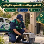 التخلص من القطط المشردة الرياض