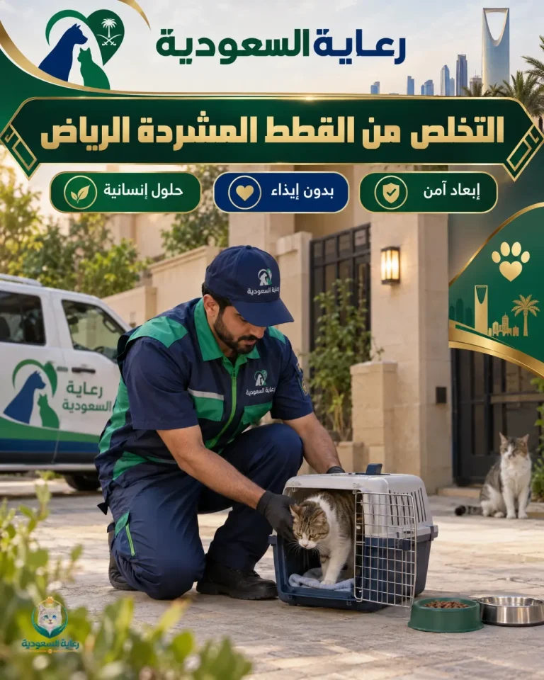 التخلص من القطط المشردة الرياض