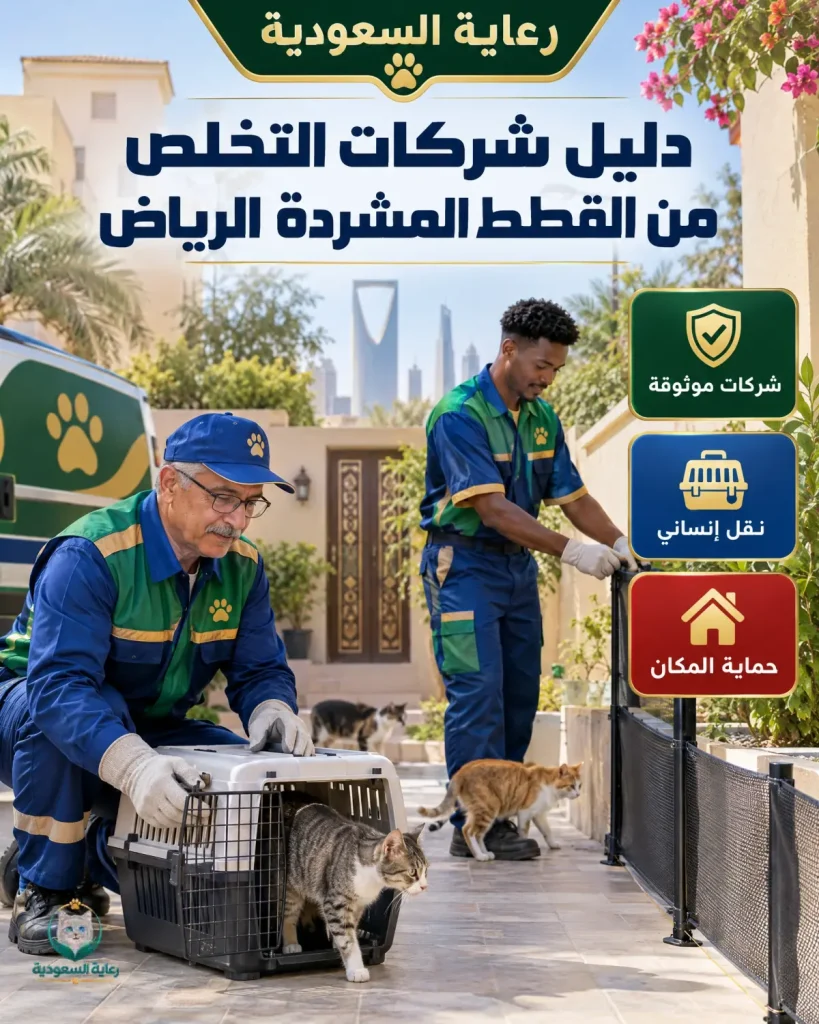 دليل شركات التخلص من القطط المشردة الرياض